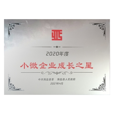 2020年度小微企業(yè)成長之星